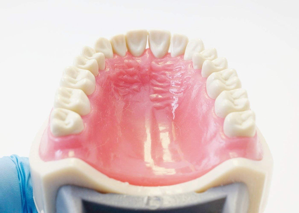 Dental Model 200