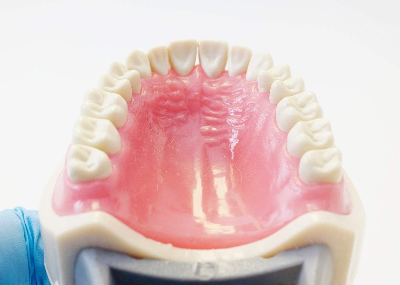 Dental Model 200