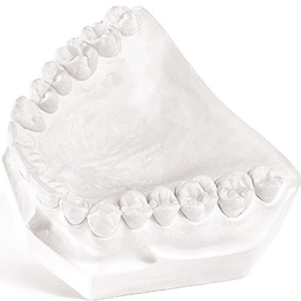 White Dental Plaster Type II Regular Set Gypsum